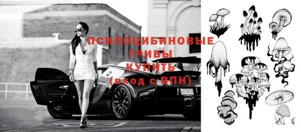 героин Алексин